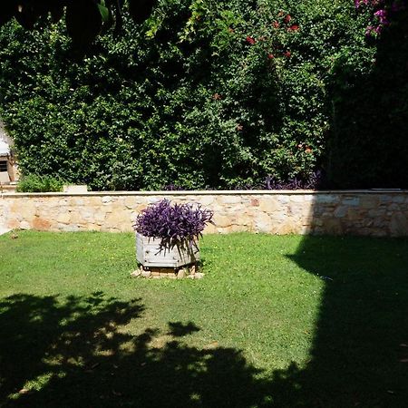 Apartment With A Garden, Bbq, Swimming Pool And Jacuzzi Dhrafi Екстер'єр фото